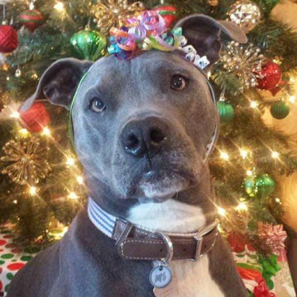 Meet your Posher, Mikayla! - Picture 7 of 7